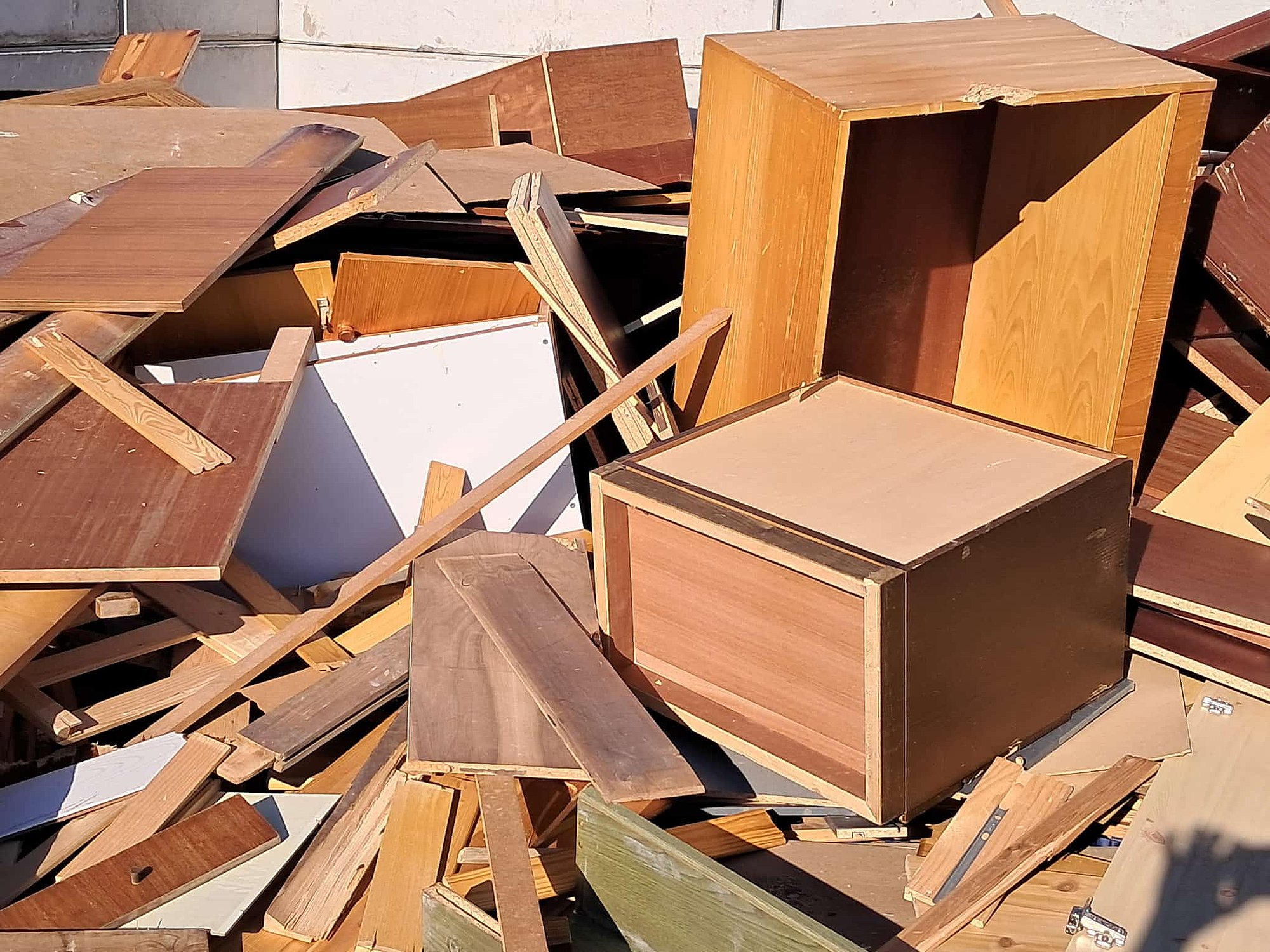 Holz entsorgen